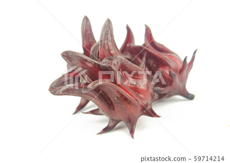 Roselle, Jamaican Sorelor or Hibiscus sabdariffa Roselle, Jamaican Sorelor or Hibiscus sabdariffa 59714214