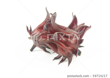 Roselle, Jamaican Sorelor or Hibiscus sabdariffa Roselle, Jamaican Sorelor or Hibiscus sabdariffa 59714217