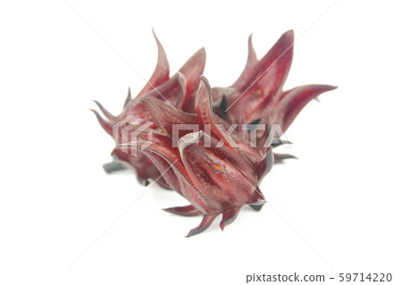 Roselle, Jamaican Sorelor or Hibiscus sabdariffa Roselle, Jamaican Sorelor or Hibiscus sabdariffa 59714220