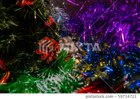 Symbol of 2020 according to the Chinese zodiac - Symbol of 2020 according to the Chinese zodiac - 59714721