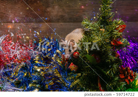 Symbol of 2020 according to the Chinese zodiac - Symbol of 2020 according to the Chinese zodiac - 59714722