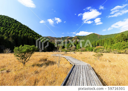 Marsh fall Marsh fall 59716301