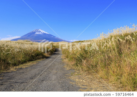 Training grounds Training grounds 59716464