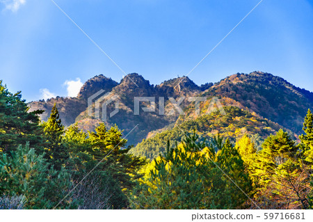 Mountains of autumn leaves and blue sky 59716681