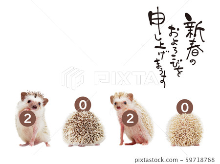 2020, hedgehog new year card 2020, hedgehog new year card 59718768