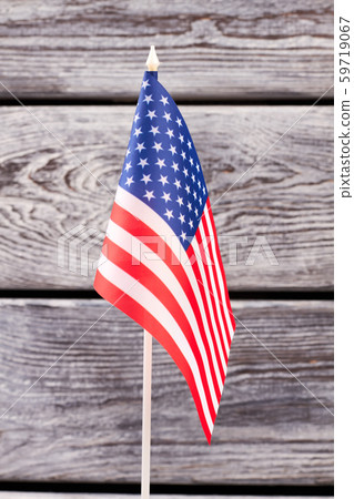 National flag of USA, vertical image. National flag of USA, vertical image. 59719067