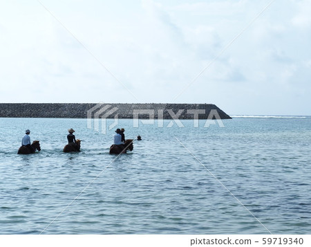 Yonaguni Island (underwater riding) 59719340