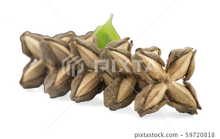 Nuts Incas sacha inchi peanut seed an isolated on Nuts Incas sacha inchi peanut seed an isolated on 59720818