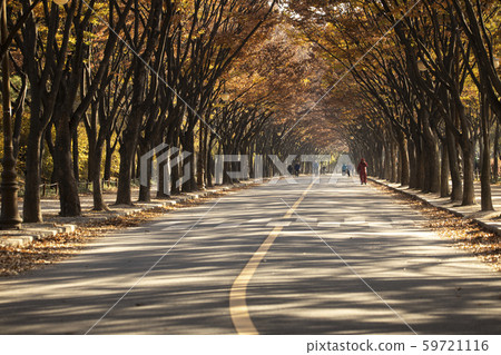 人們在早上穿過公園散步 59721116