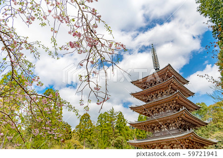 Spring scenery of Kyoto Daigoji five-storied pagoda Spring scenery of Kyoto Daigoji five-storied pagoda 59721941