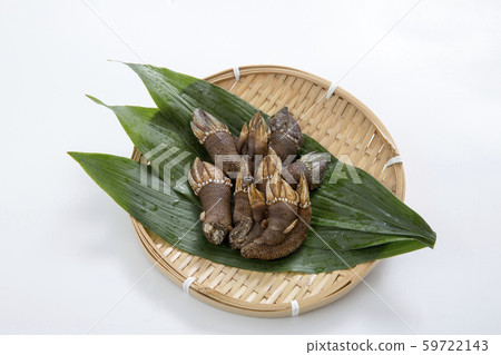Turtle notes, shellfish, Turtle notes, shellfish, 59722143