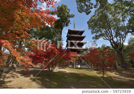 秋天的Ninnaji寺 秋天的Ninnaji寺 59723939