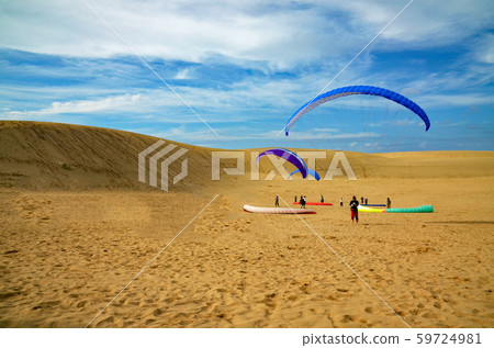 Tottori sand dune flower paraglider 59724981
