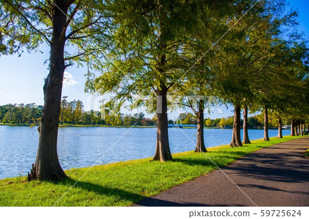 Promenade Promenade 59725624