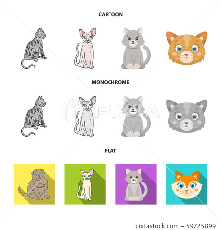 Vector design of pet and sphynx symbol. Set of pet and fun vector icon for stock. 59725899