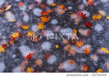 First snow day trapped air 06 autumn leaves First snow day trapped air 06 autumn leaves 59726348
