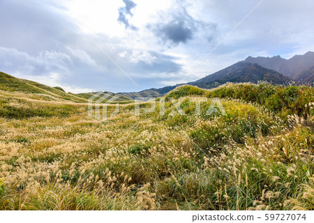 Autumn view of Hakoishi-an and grass autumn leaves [Aso City, Kumamoto Prefecture] 59727074
