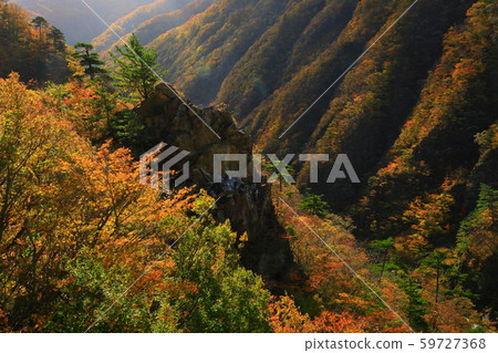 Autumnal leaves of Kinshu 59727368