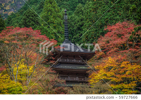 [Hyogo Prefecture] Kogenji 59727666