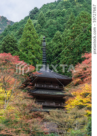 [Hyogo Prefecture] Kogenji 59727667