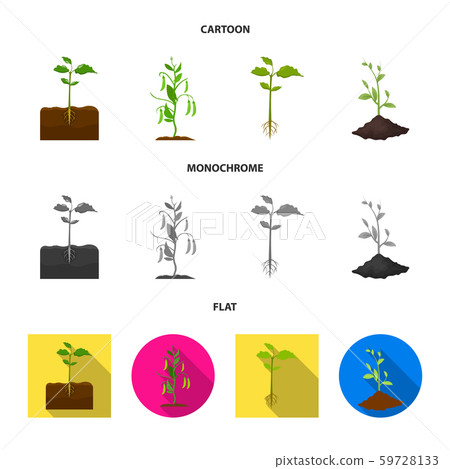 Vector design of plant and bean icon. Collection of plant and process stock symbol for web. Vector design of plant and bean icon. Collection of plant and process stock symbol for web. 59728133