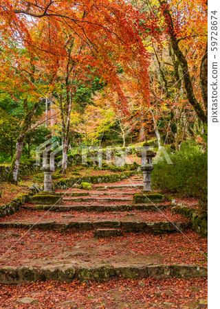 [Hyogo Prefecture] Kogenji 59728674