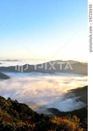 Iwawayama的雲海 59728936