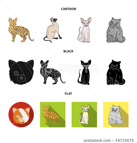 Isolated object of pet and sphynx sign. Set of pet and fun vector icon for stock. 59729078