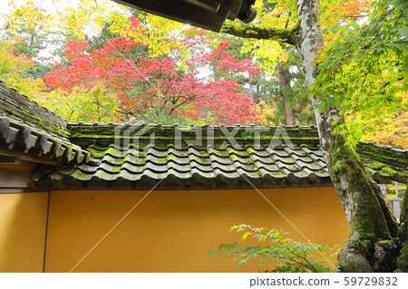 Saige-ji的秋天 59729832