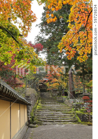 Saimyoji Omotesando in autumn 59729834