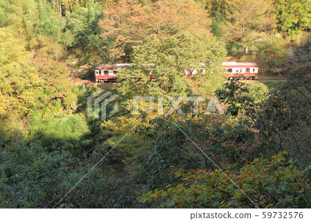 Watarase Gorge Railway "Contrast between light and shade in the mountains" 59732576