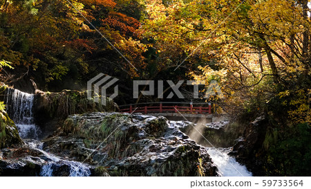 Autumn color of yellow and red maple leaves at  waterfall in Japan 59733564