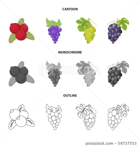 Vector design of berry and fruit logo. Collection of berry and redberry stock symbol for web. Vector design of berry and fruit logo. Collection of berry and redberry stock symbol for web. 59737553