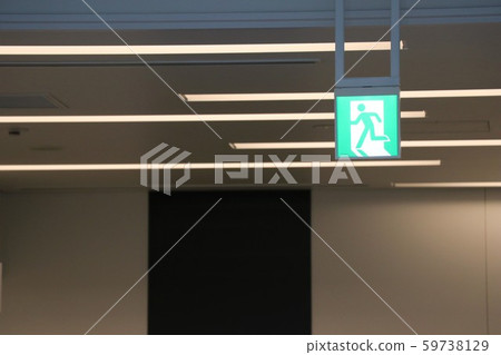 Emergency guide light 59738129