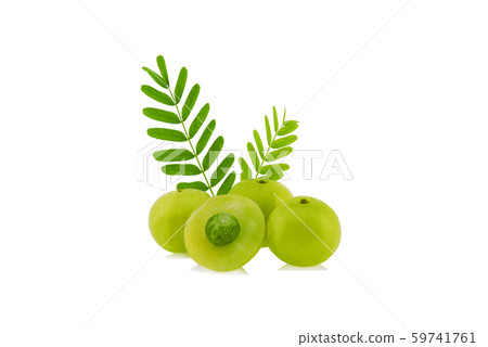 Indian gooseberry isolated on white background Indian gooseberry isolated on white background 59741761