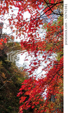 Naruko Gorge landscape in Miyagi, Japan Naruko Gorge landscape in Miyagi, Japan 59741981