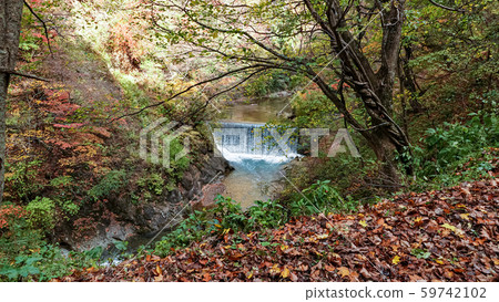 Naruko Gorge landscape in Miyagi, Japan Naruko Gorge landscape in Miyagi, Japan 59742102