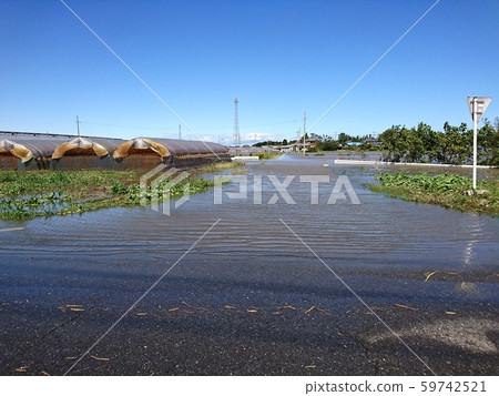 颱風過後的颱風指甲 颱風過後的颱風指甲 59742521