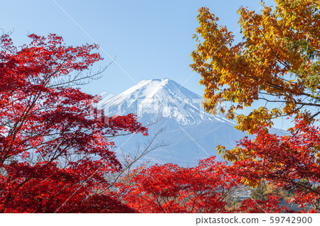 Mt. Fuji as seen from Niikurayama Asama Park in autumn Mt. Fuji as seen from Niikurayama Asama Park in autumn 59742900