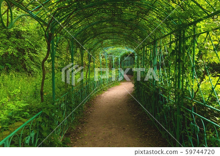 Green path in beautiful garden angle shot 59744720