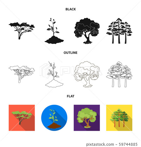 Vector illustration of tree and forest symbol. Set of tree and green stock symbol for web. Vector illustration of tree and forest symbol. Set of tree and green stock symbol for web. 59744885
