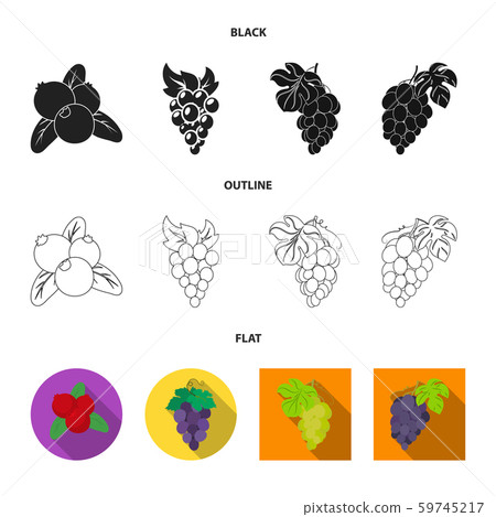 Vector design of berry and fruit icon. Set of berry and redberry stock symbol for web. Vector design of berry and fruit icon. Set of berry and redberry stock symbol for web. 59745217
