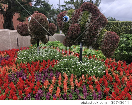 Okinawa Prefectural Motobu Ocean Expo Park 59745644