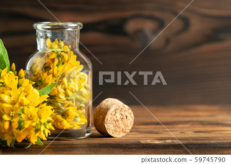 Concept of homeopathy and herbal treatment - solidago virgaurea know as goldenrod in a bottle, copy 59745790