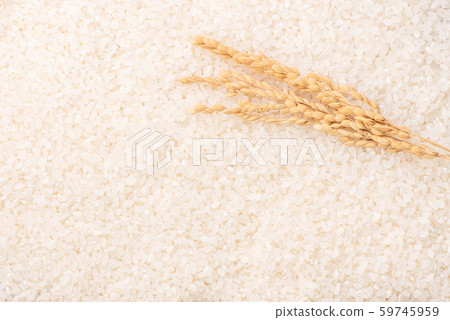 米 白米 穀物 稻穀 稻米 生的 Raw rice crop お米 ご飯 米 白米 穀物 稻穀 稻米 生的 Raw rice crop お米 ご飯 59745959
