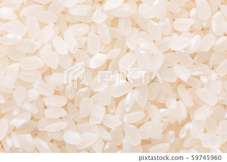 米 白米 穀物 稻穀 稻米 生的 Raw rice crop お米 ご飯 59745960