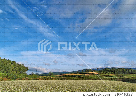 Hokkaido soba field and cloud scenery Hokkaido soba field and cloud scenery 59746358