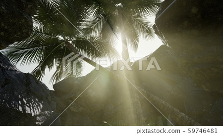 Big Palms in Stone Cave with Rays of Sunlight 59746481