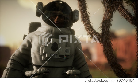 Astronauth in the high desert of Nevada 59746494