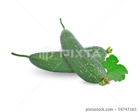 fresh loofah on the white background 59747165